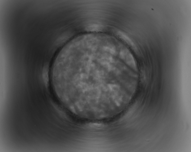 X0000092090586200710031156