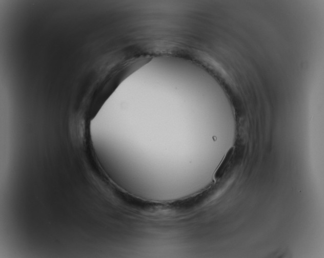 X0000092090589200710031156