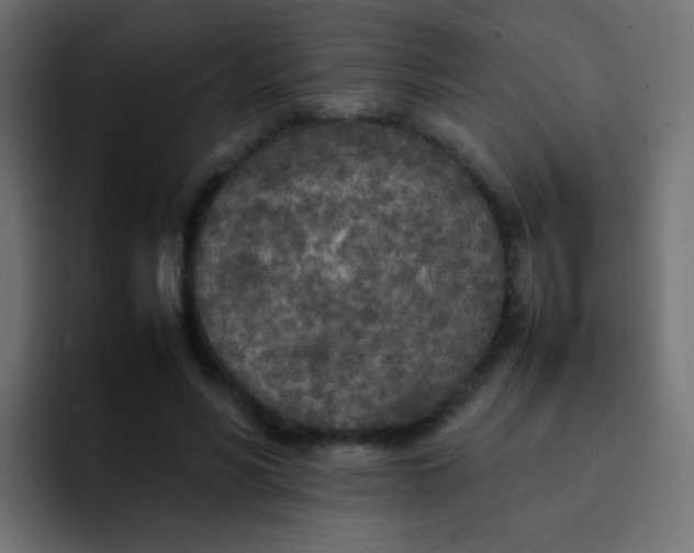 X0000092090590200710031156