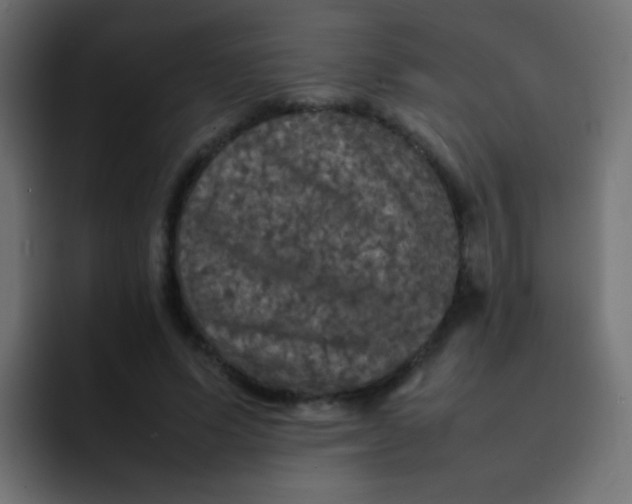 X0000092090591200710031156