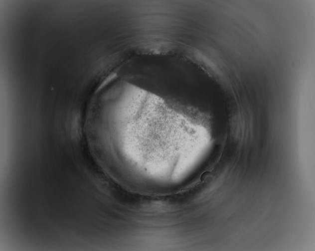 X0000092090594200710031156