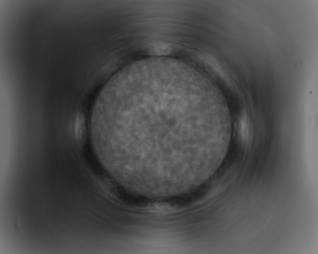 X0000092090598200710031155