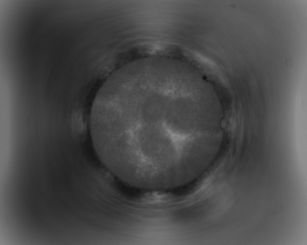 X0000092090607200710031155