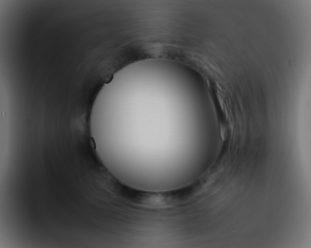 X0000092090611200710031155