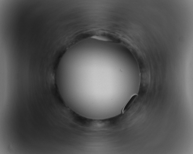 X0000092090613200710031155