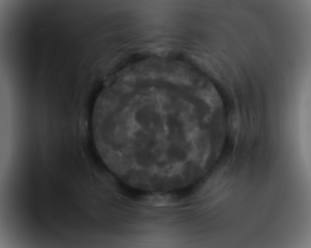 X0000092090615200710031155