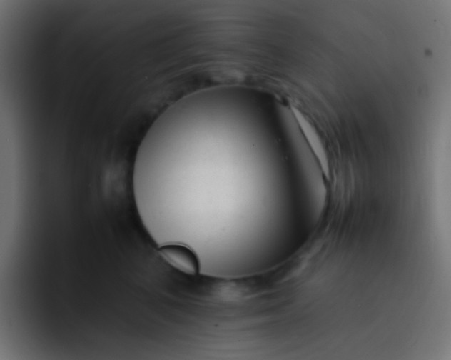 X0000092090616200710031155