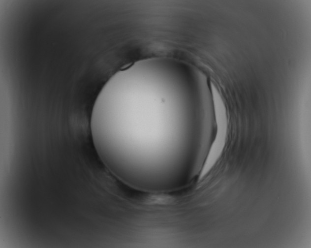 X0000092090617200710031155