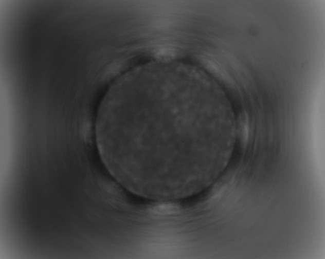 X0000092090619200710031155