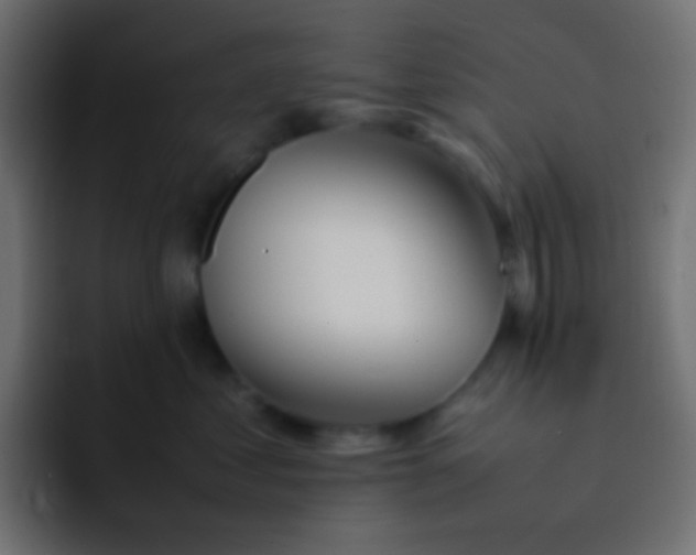 X0000092090621200710031155