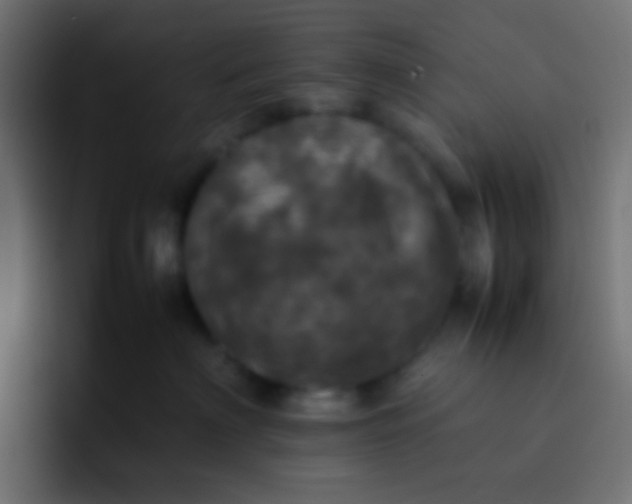 X0000092090622200710031155