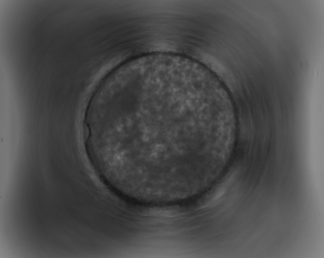 X0000092090625200710031155