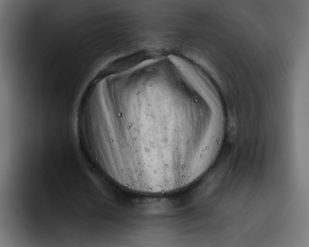 X0000092090626200710031155