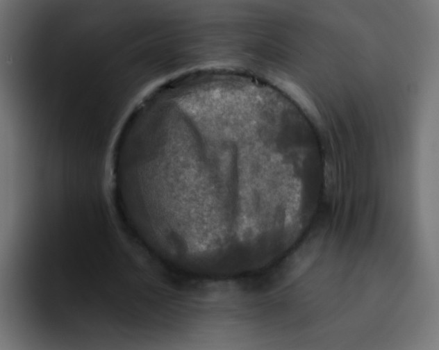 X0000092090628200710031155