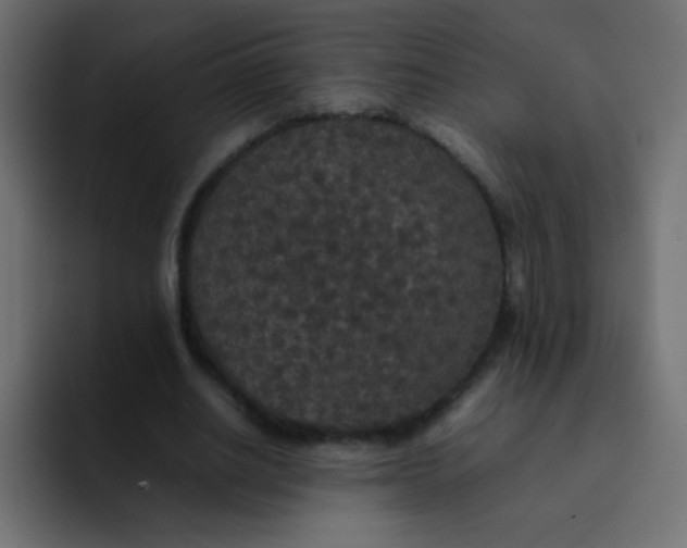 X0000092090630200710031155