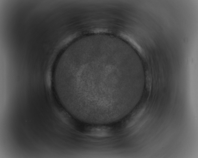 X0000092090631200710031155