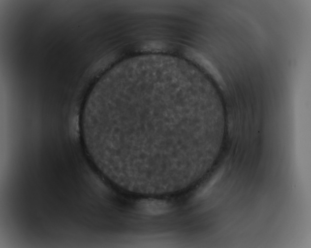 X0000092090633200710031155