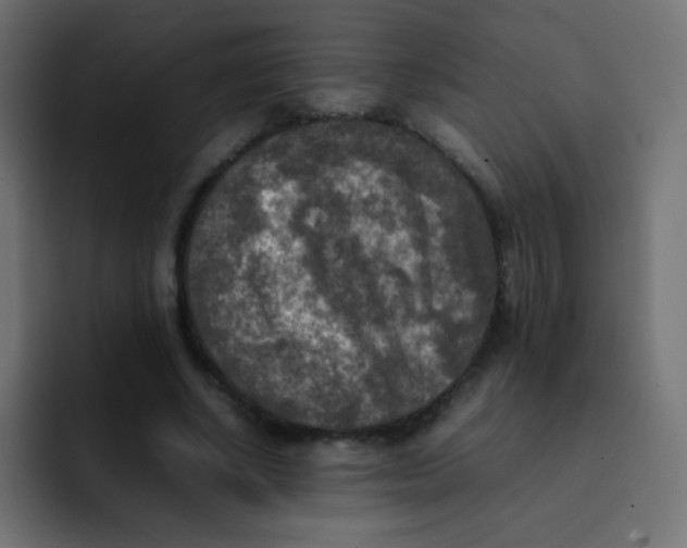 X0000092090634200710031155