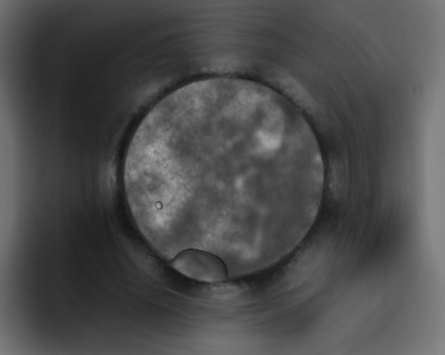 X0000092090636200710031155