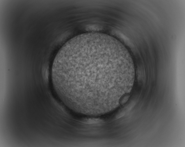 X0000092090637200710031155