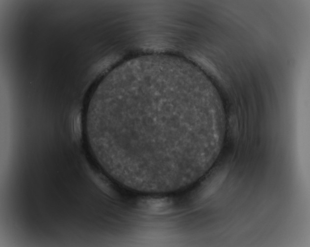 X0000092090638200710031155