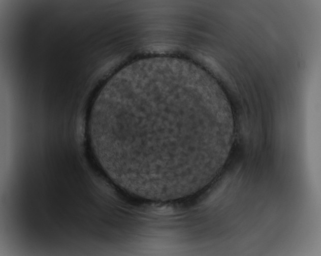 X0000092090640200710031155