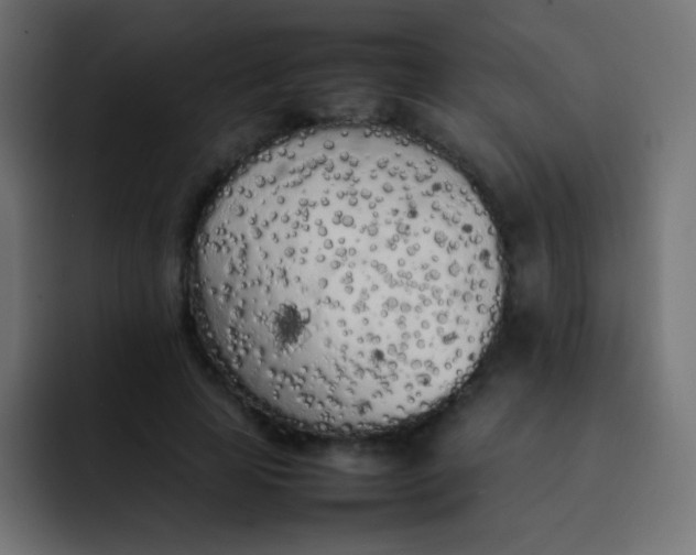 X0000092090641200710031155