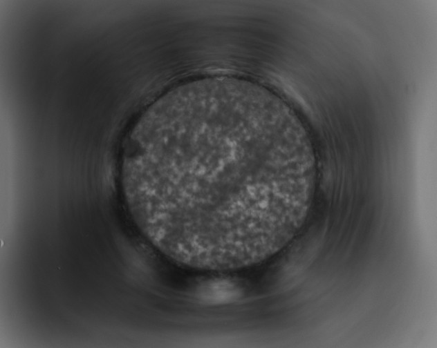 X0000092090643200710031155