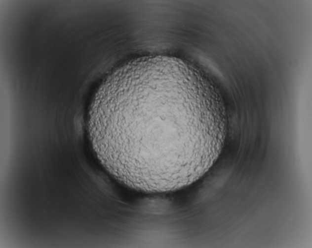 X0000092090644200710031155