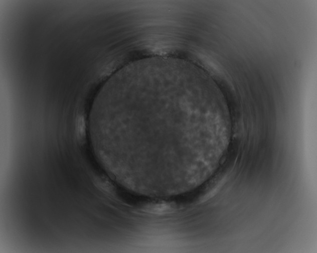 X0000092090646200710031155