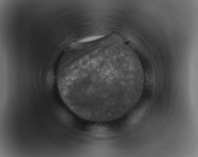 X0000092090648200710031155