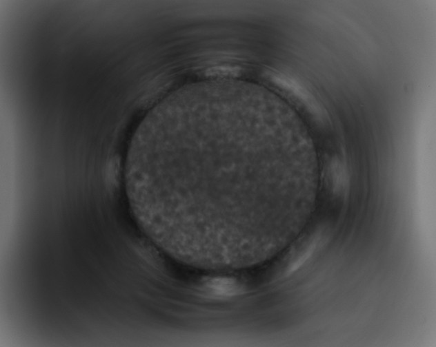 X0000092090649200710031155