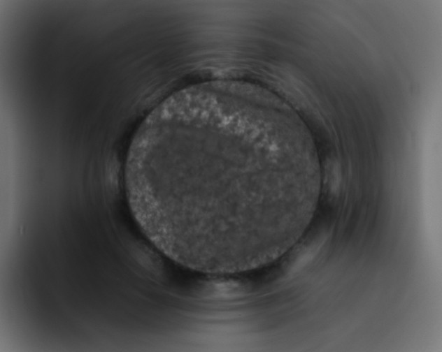 X0000092090650200710031155