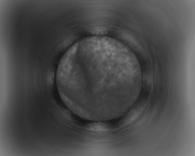 X0000092090652200710031155