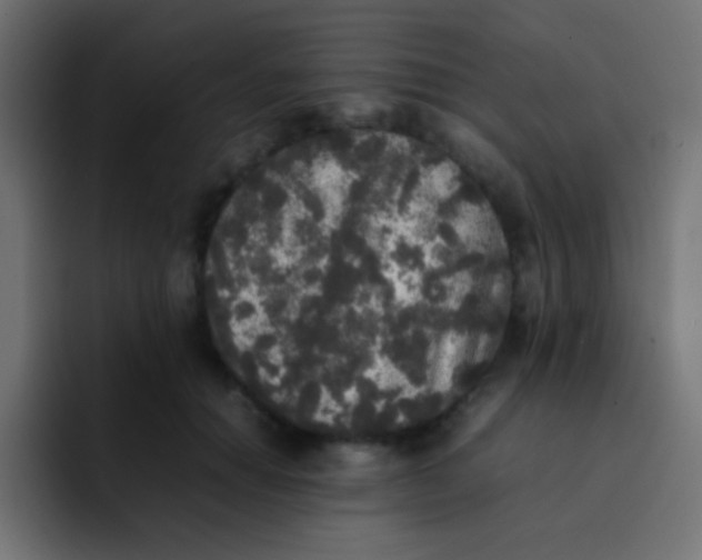 X0000092090654200710031155