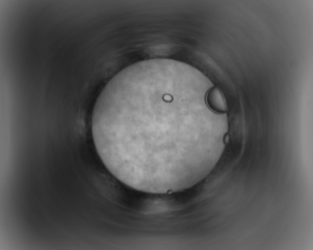 X0000092090655200710031155