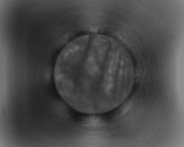 X0000092090656200710031155