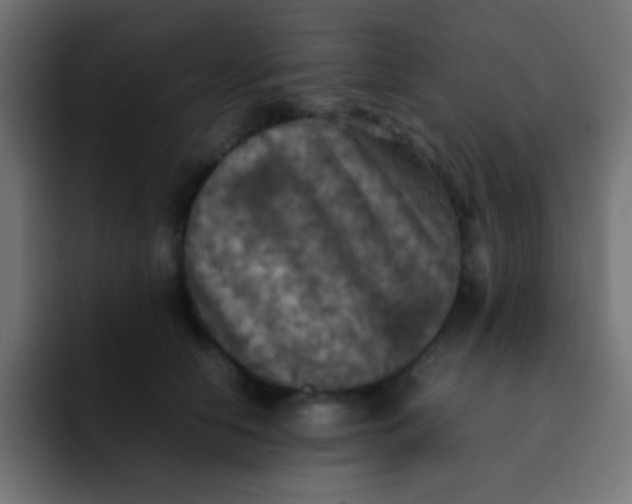 X0000092090658200710031155