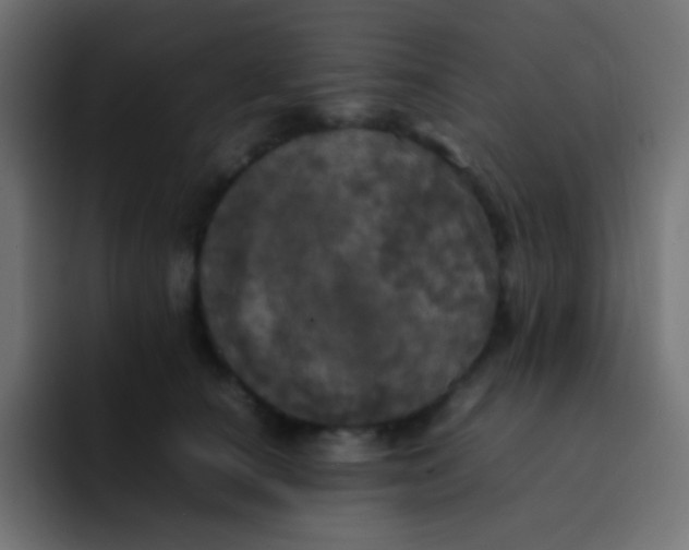 X0000092090660200710031155