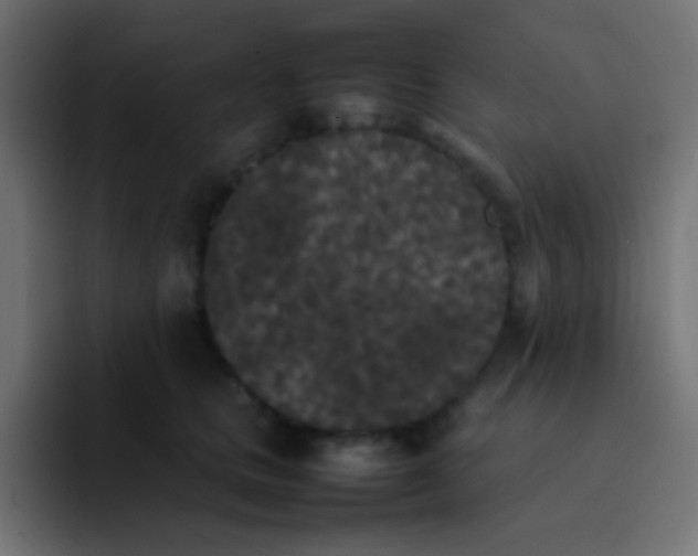 X0000092090661200710031155