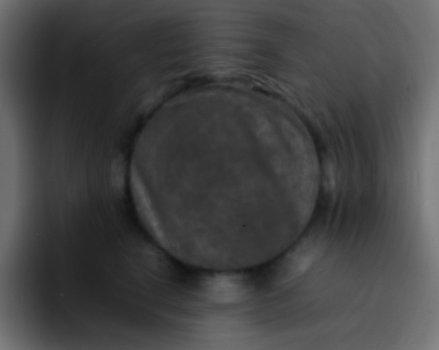 X0000092090664200710031155