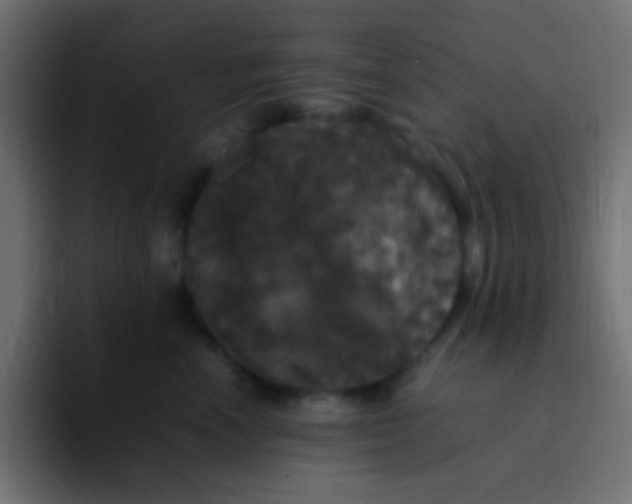 X0000092090666200710031155