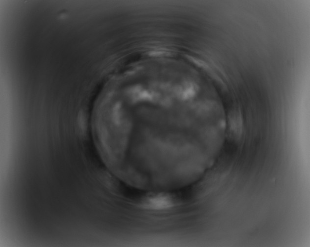 X0000092090667200710031155