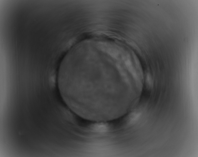 X0000092090668200710031155