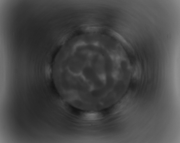 X0000092090669200710031155