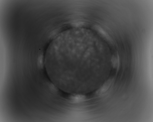 X0000092090670200710031155