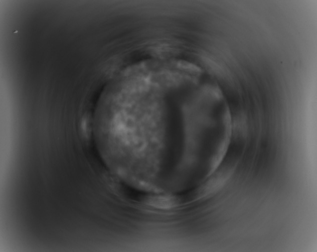 X0000092090671200710031155