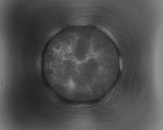 X0000092090675200710031155