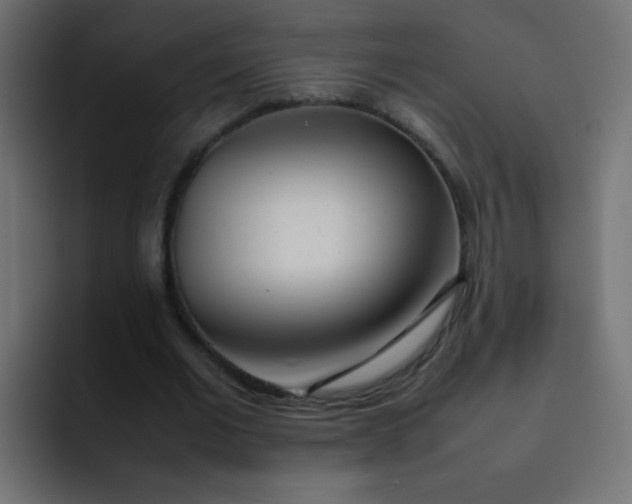 X0000092090677200710031155