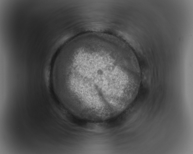 X0000092090679200710031155